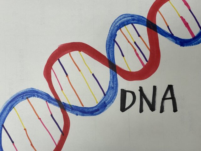 女性蔑視の上地発言を考察する⑪