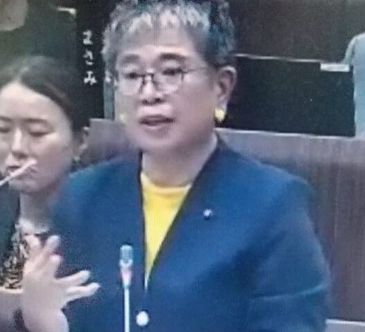 一般質問★今回の項目と選定の背景