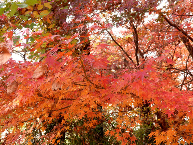 旧軍港市転換法を考える